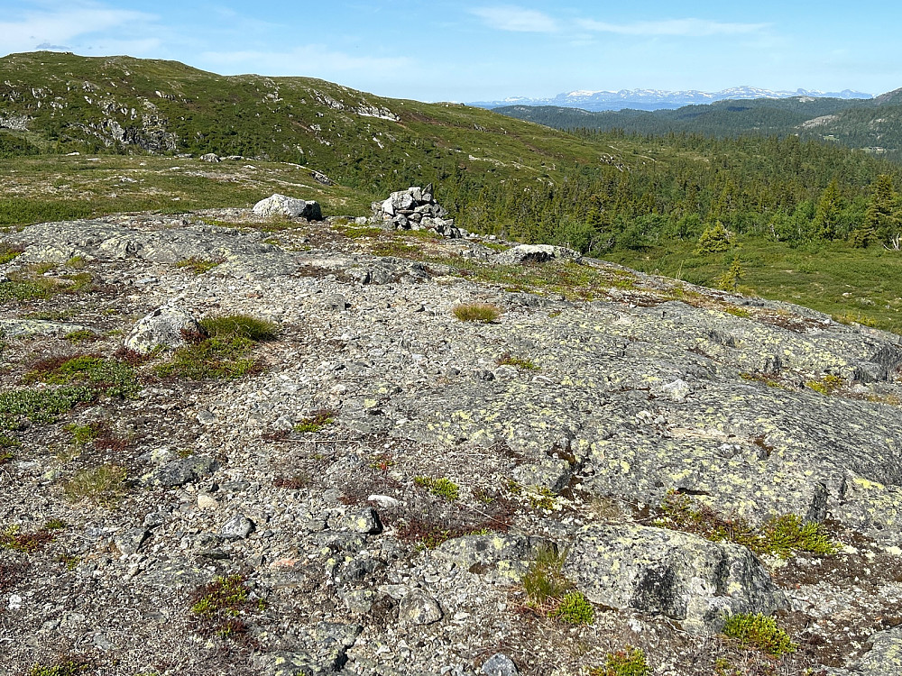 Utsikt vestover mot fjellene fra Reineskarvet mot Skogshorn.