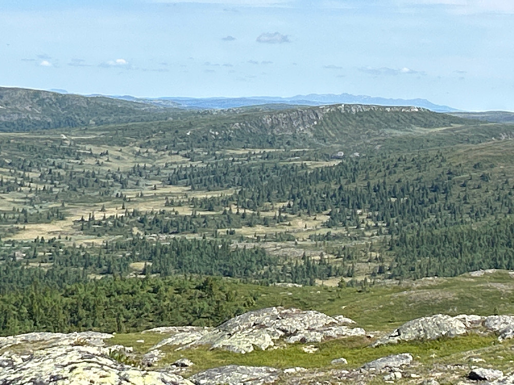 Utsikt nordøstover mot Synnfjell og Spåtind.