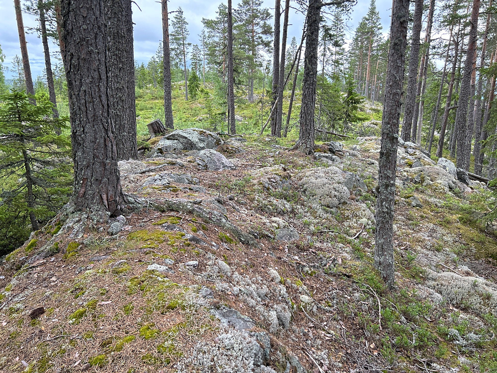 Langs toppeggen på Seteråsen.