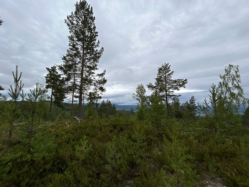 Toppunktet på Seteråsen.