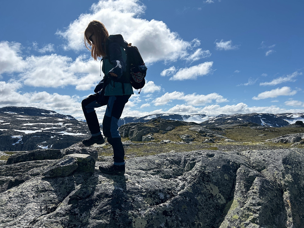 Susanne fikk i oppdrag fra meg å ødelegge den noe misvisende lille varden på en av knausene på platået på Godfjell. Midt i bildet kan vår nye varde på Godfjell skimtes, og den ligger åpenbart høyere siden Flakavassnutane i bakgrunnen er 1750 moh.