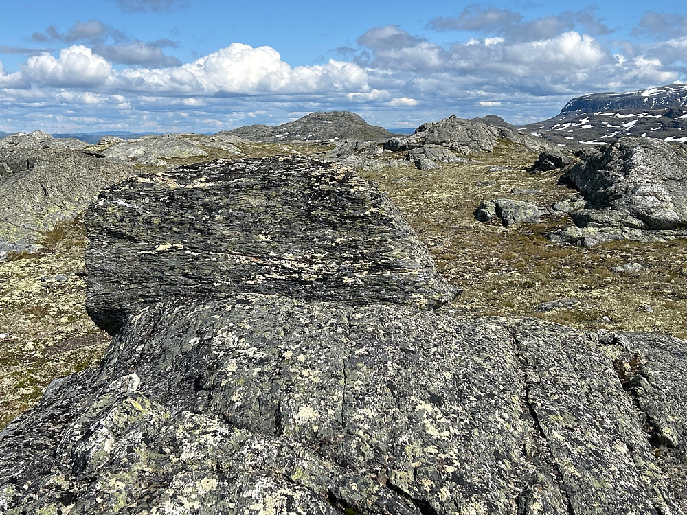 Topplatået på Godfjell med vår nye varde litt ute til høyre i bildet. Midt i bildet ses Ynglesnuten 1572 moh.
