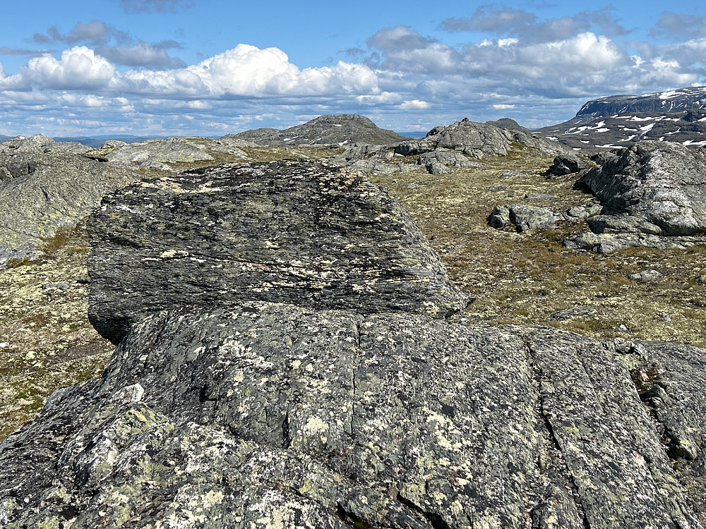 Topplatået på Godfjell med vår nye varde litt ute til høyre i bildet. Midt i bildet ses Ynglesnuten 1572 moh.