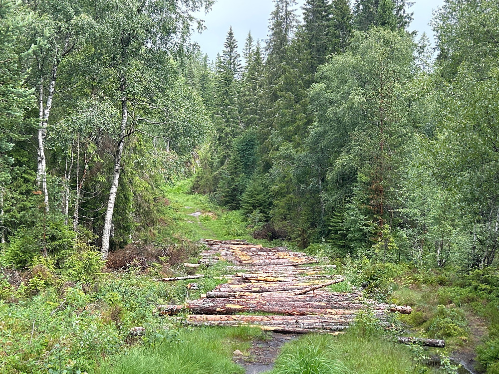 På det kaldeste stedet på skitur til Skimten er det lagt ut stokker på tvers. Jeg skjønner ikke hvorfor.