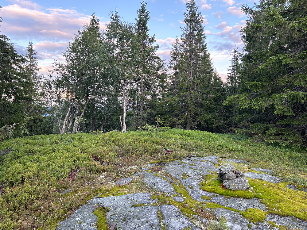Toppunktet på Brennhaugen.