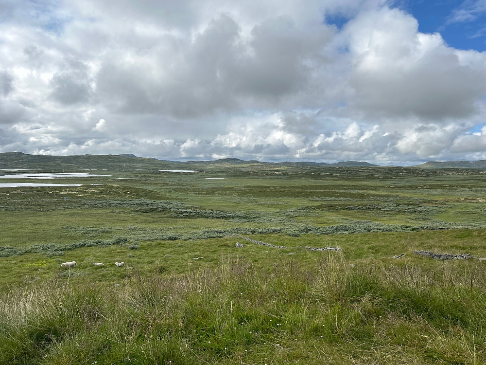 Utsikt fra starten av turen ved Tuva over det flate landskapet mot de tilsynelatende ganske små toppene jeg hadde planer om å gå på. 