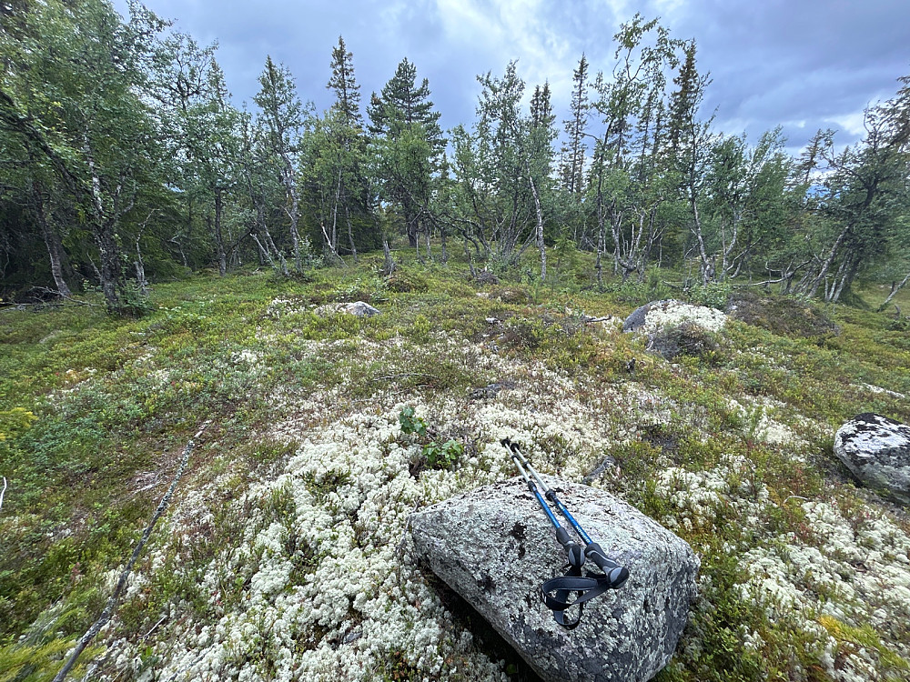 Flatdalsåsen lever opp til navnet sitt.