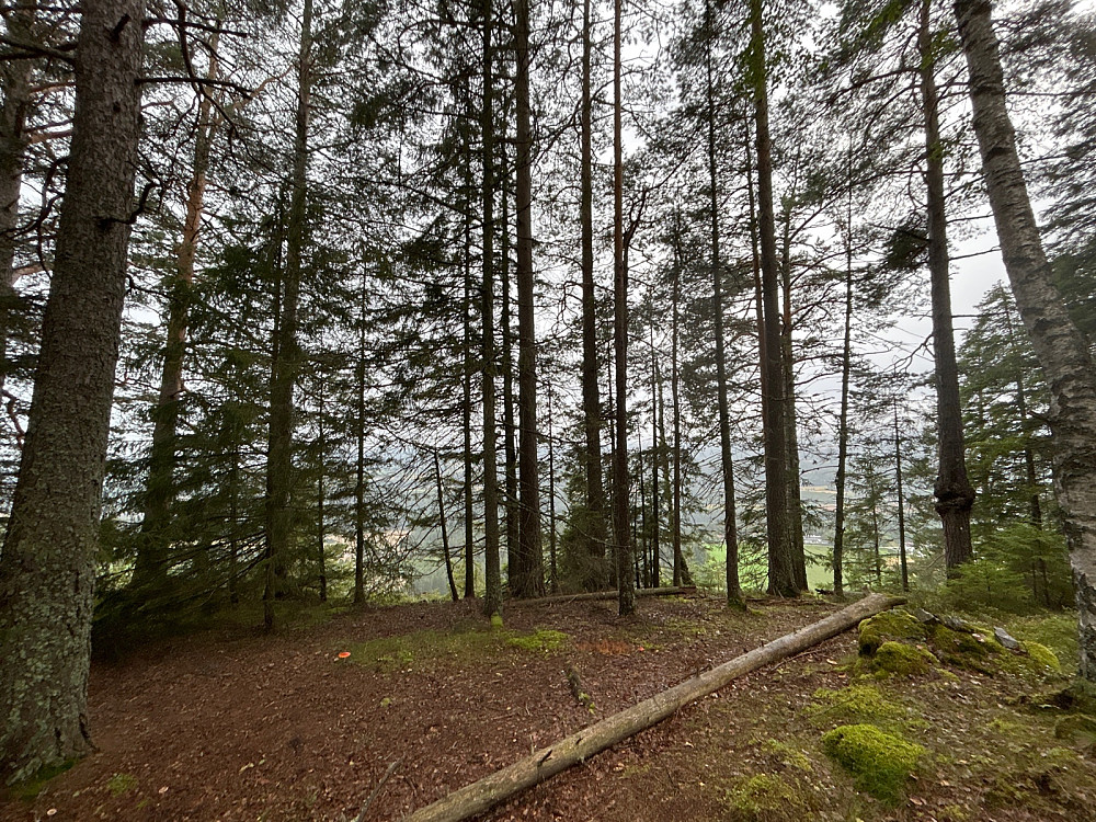 Skibrekkåsen.