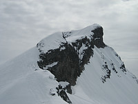 Erling_20230820_64e1d14380159.jpg