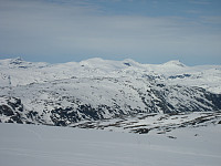 Erling_20230820_64e1d14811b41.jpg