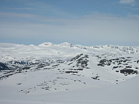 Erling_20230820_64e1d148aec1d.jpg
