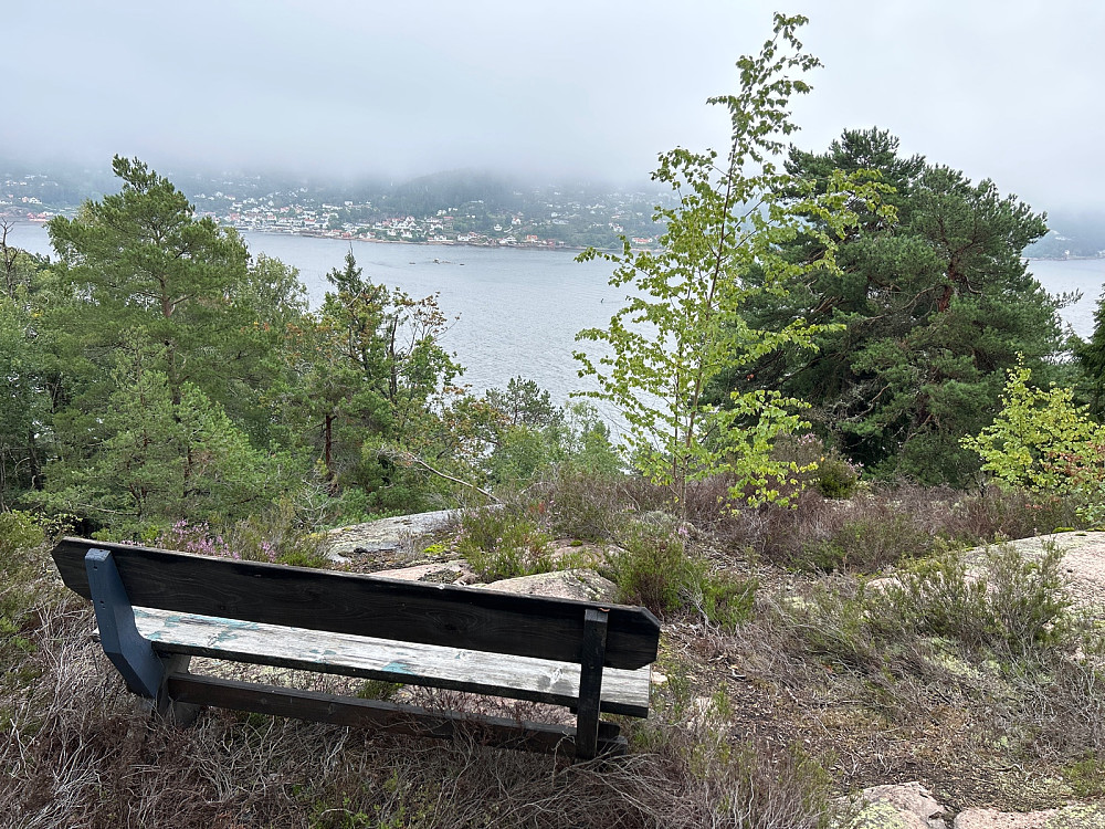 Benk med utsikt til Holmsbu litt øst for toppunktet.