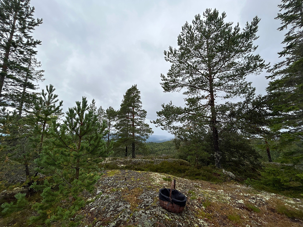 Fastpunktet på Fjerdingstadkollen.