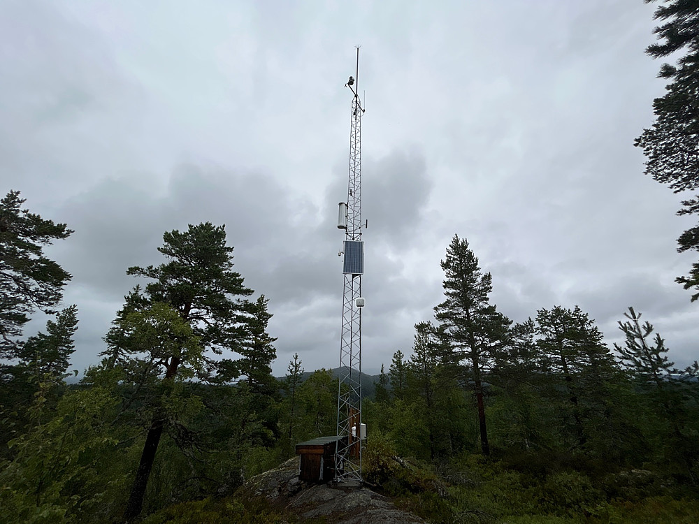Masten på Fjerdingstadkollen.