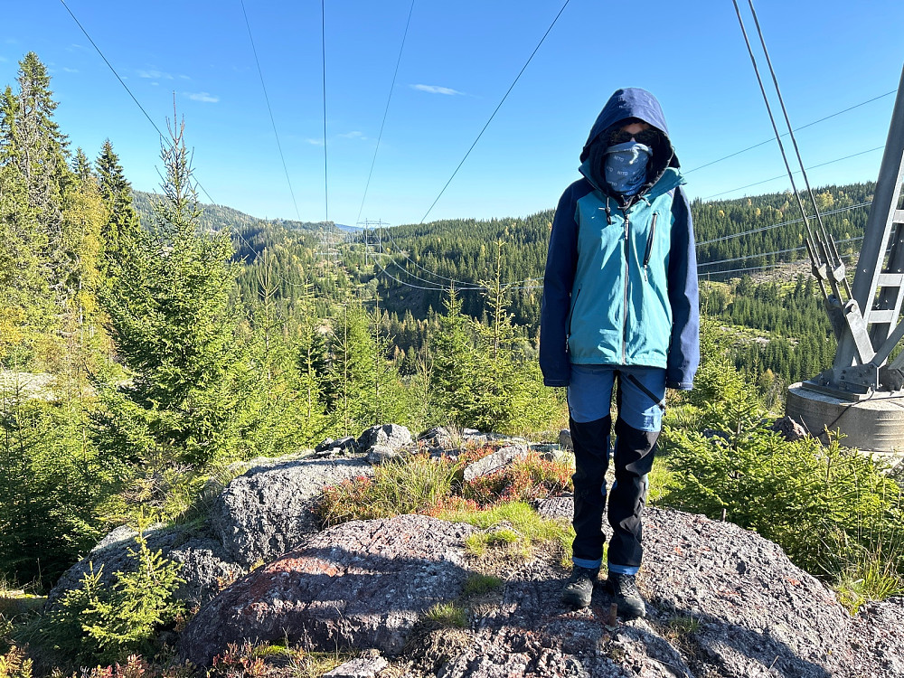 Ganske god beskyttelse mot hjortelusfluer på toppen av Seterbrenna SØ, som er under en 420kV mast til Statnett.