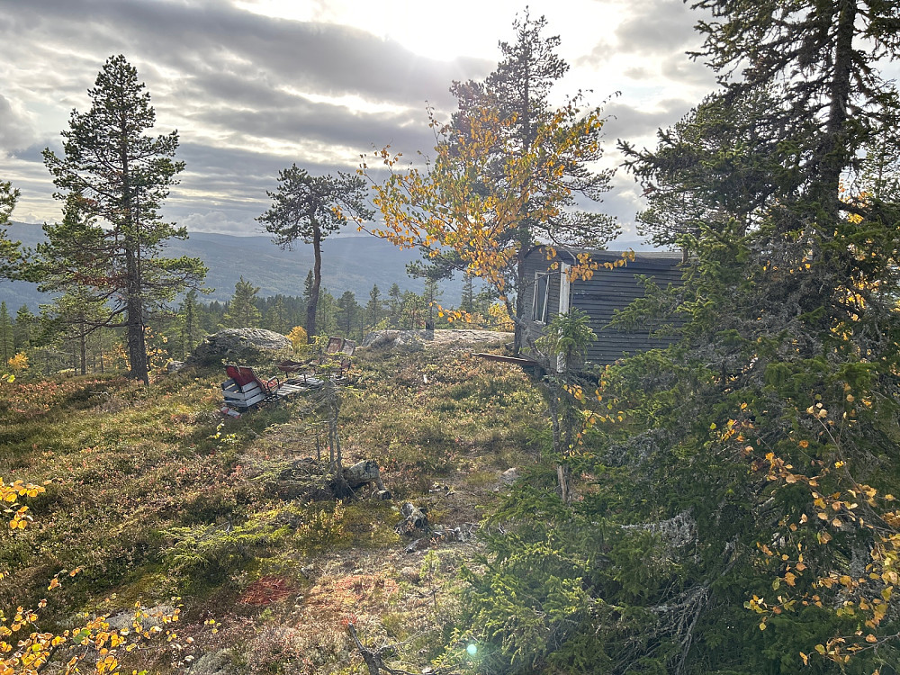 Brakke og togseter, sikkert bragt opp hit for å ha til jakta. 200 meter fra toppunktet på Konnuliåsen.