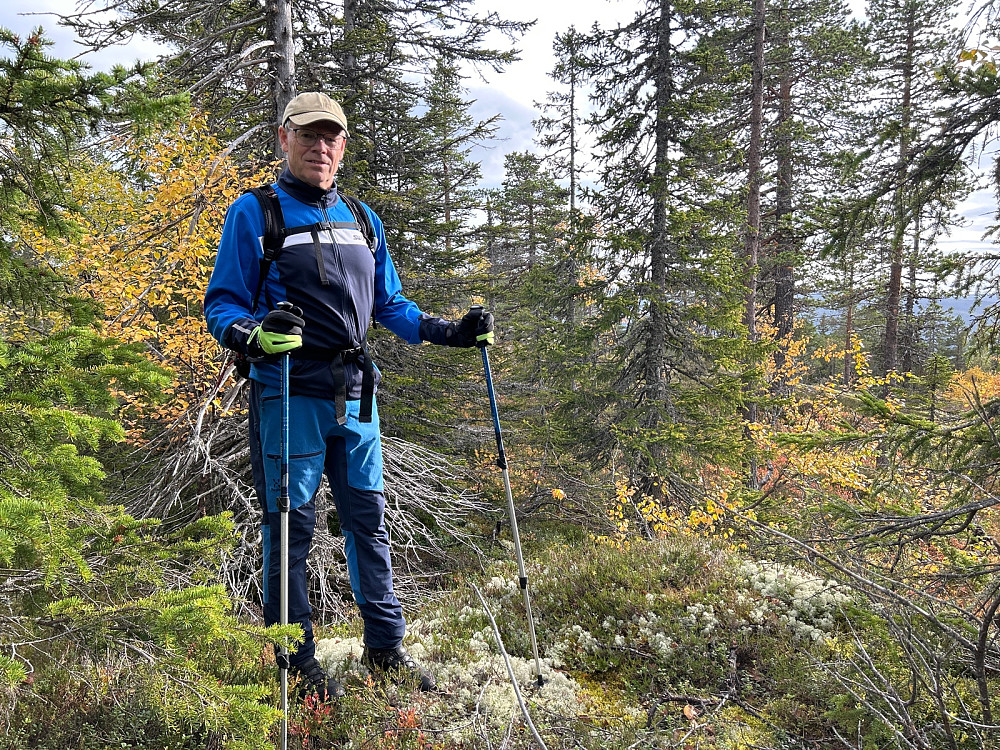 Toppunktet på Konnuliåsen.