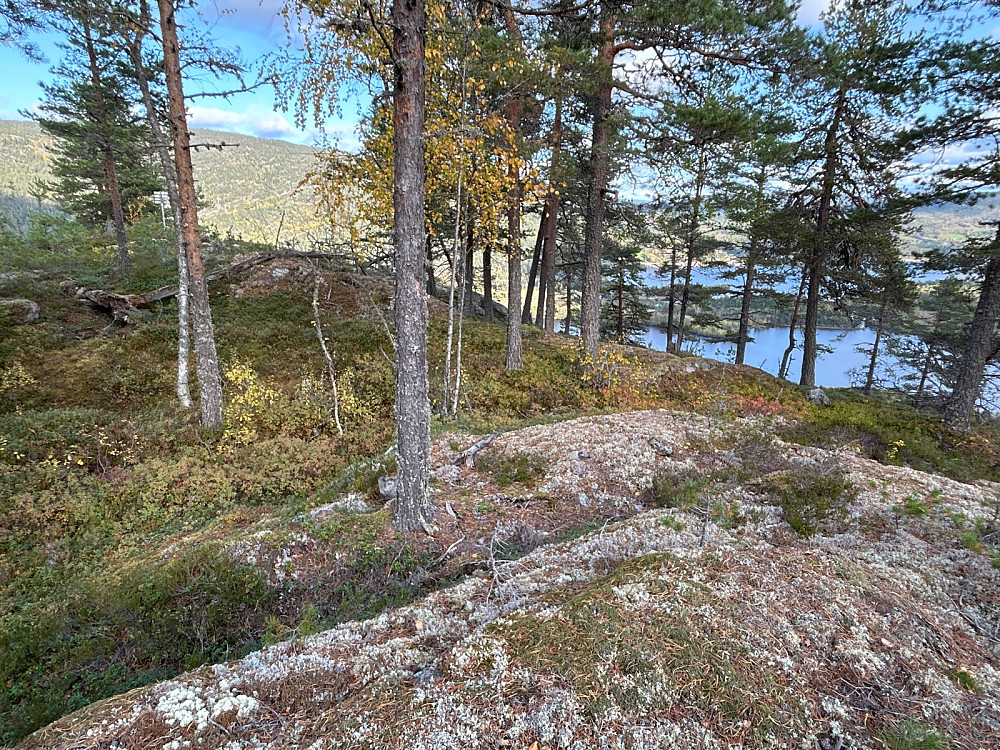 Jeg tror høyeste punkt på Geitenatten er nede til høyre på bildet; 20-30 meter fra trigpunktet som ses oppe til høyre i bildet.