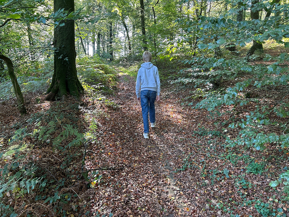 Vegard på vei oppover på en fin sti.