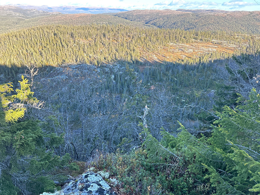Utsikt østover fra toppen.