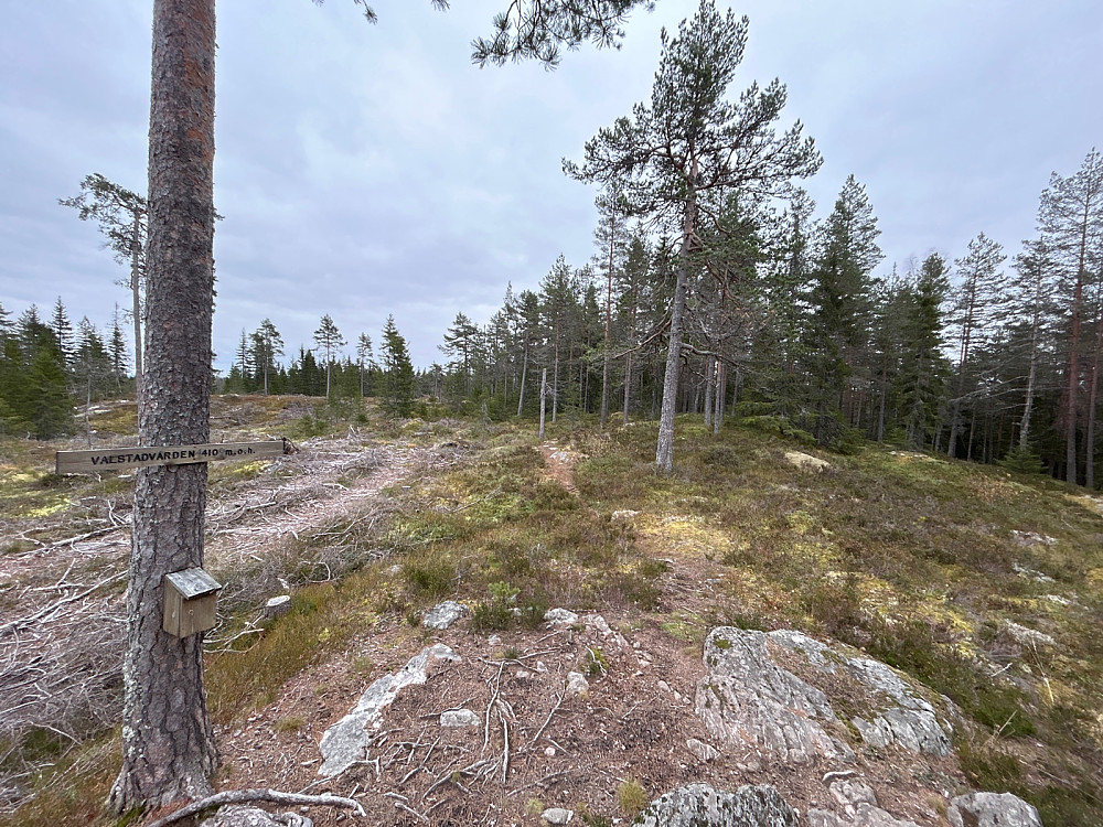 Valstadvarden, 410 moh.