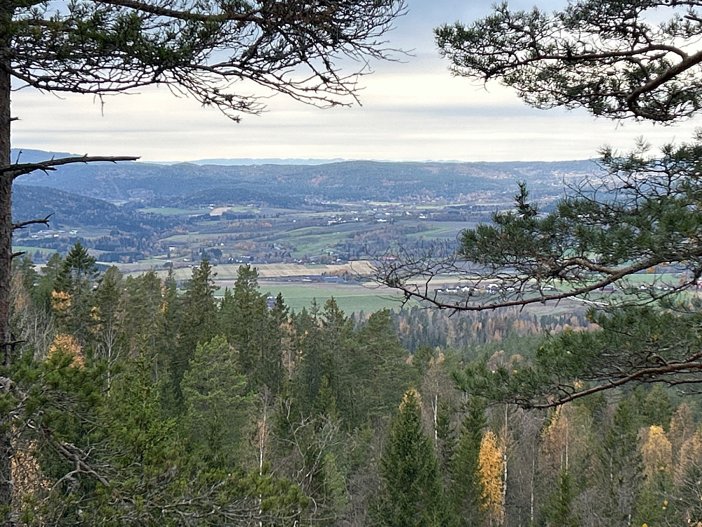 På vei oppover i skogen var det utsikt nordvestover mot noen fjell langt borte. Jeg tror det er Blefjell og Norefjell.