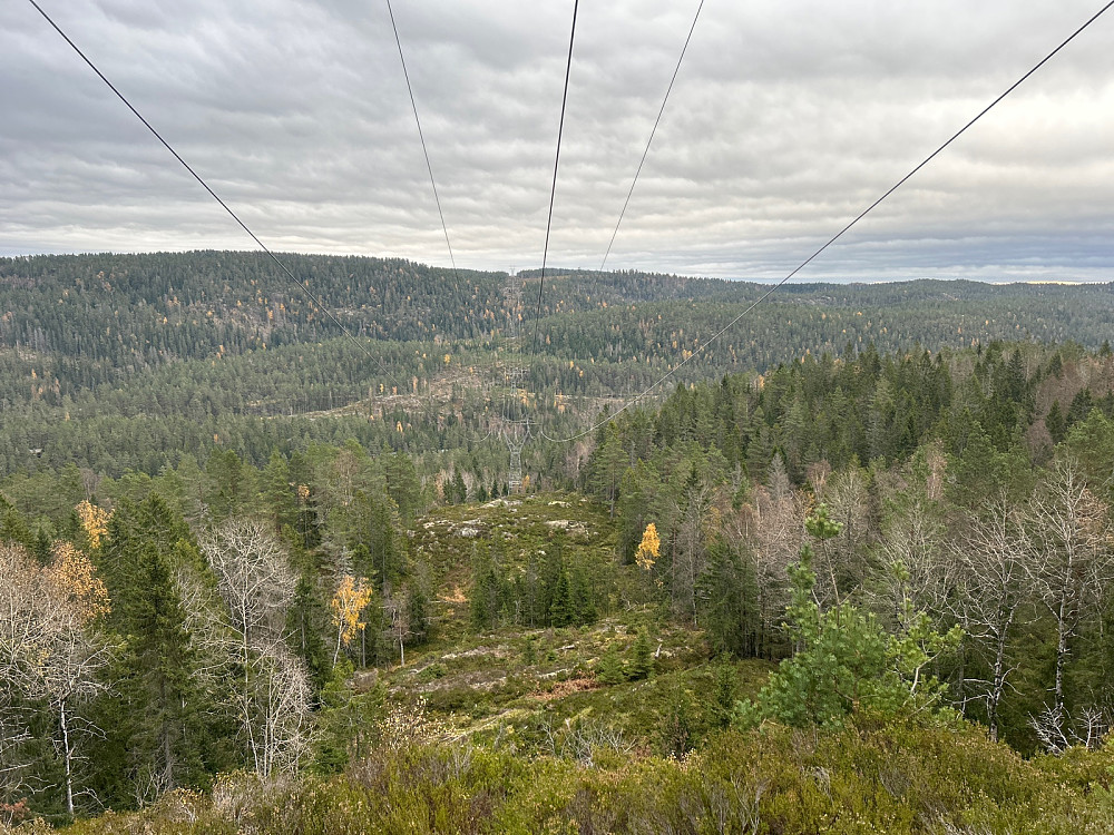 Og 300 kV linjen fortsetter østover like sør for Storås som nå er min nærmeste ubestegne rødnål.
