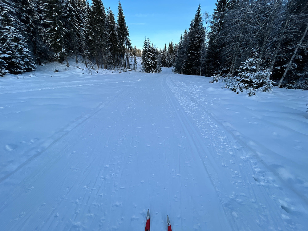 Fint i Svarthamna.