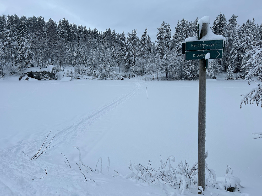 Over en arm av Nordre Mjøsjøen var det ikke kjørt løype, men det var fine løyper på hver side, kun drøyt 50 meter fra hverandre.