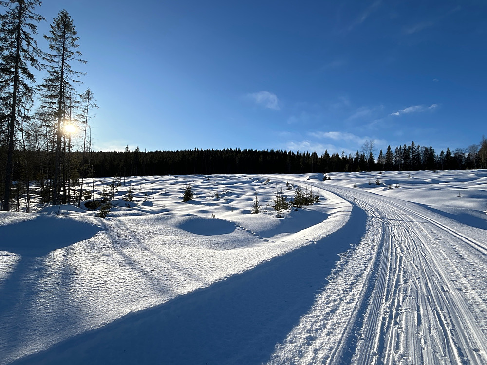 På avstikkeren oppover mot Korsvatnhaugene var det noen dager siden det var kjørt opp løyper. Men helt greit å gå her likevel.