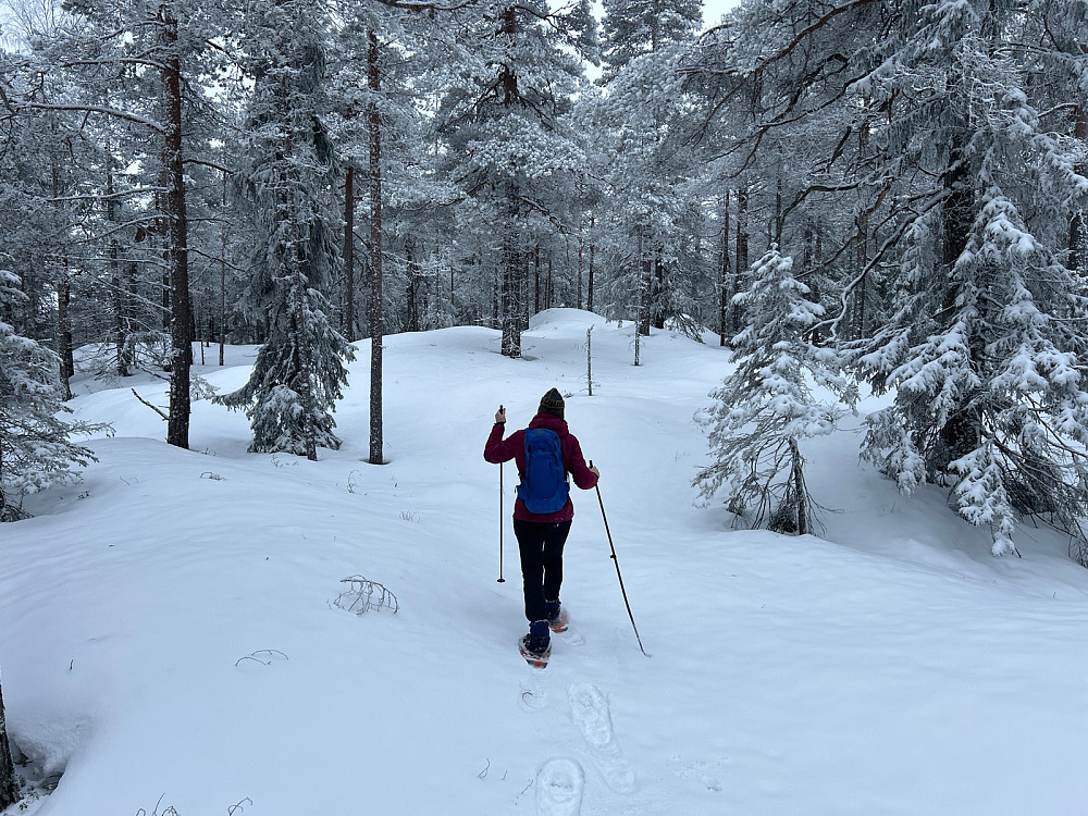 Kriss på vei til toppen av Kinnåsen.