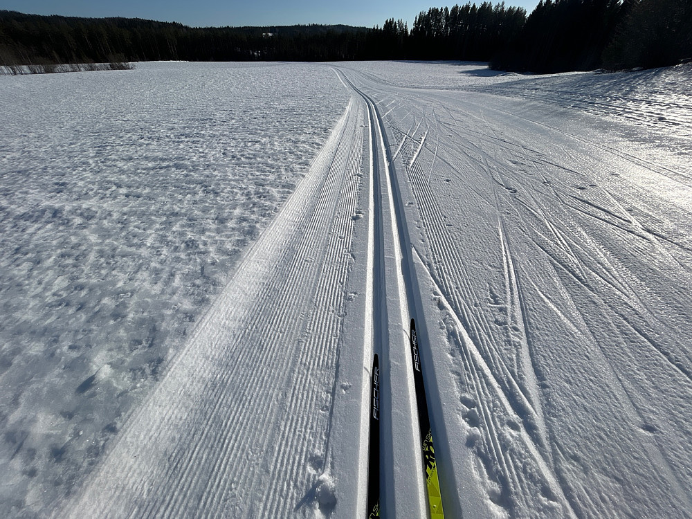 Veldig god glid i disse strøkne løypene. Dette er fra jordene like ved der jeg parkerte bilen.