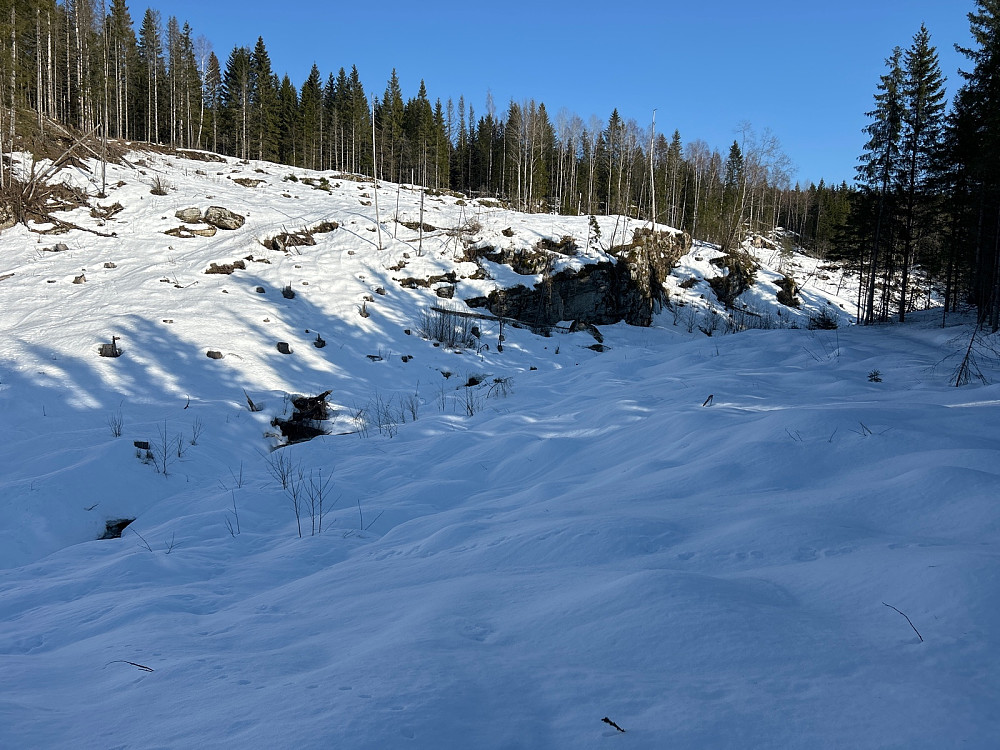 Skareføre i terrenget også, så det gikk helt greit å gå opp det åpne området til venstre i bildet. Deretter var det cirka en kilometer bushing i granskogen, men det gikk overraskende greit det også.