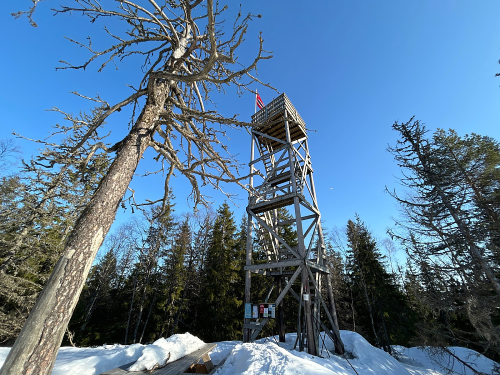 Fint toppområde 