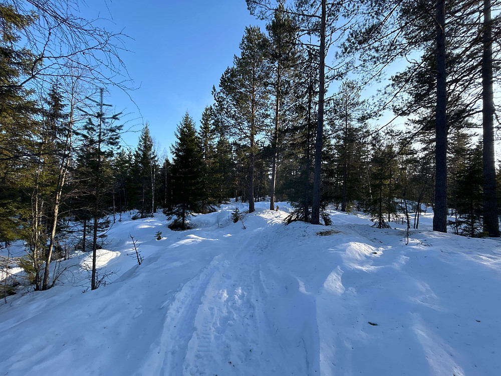 Jeg valgte å gå nordover fra toppen av Vardehøgda siden det var slakere terreng der. Jeg var ekstra heldig og kunne følge en skuterløype store deler av strekningen.