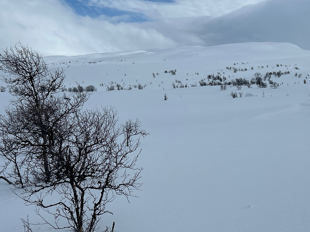 Her har jeg gått ut av langrennssporet og tar peiling rett på Steinsetfjellet hvor det nå er skyet.