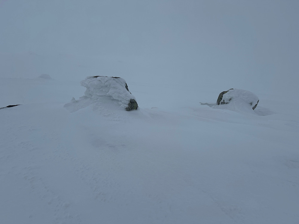 Bilde fra toppen av Steinsetfjellet.