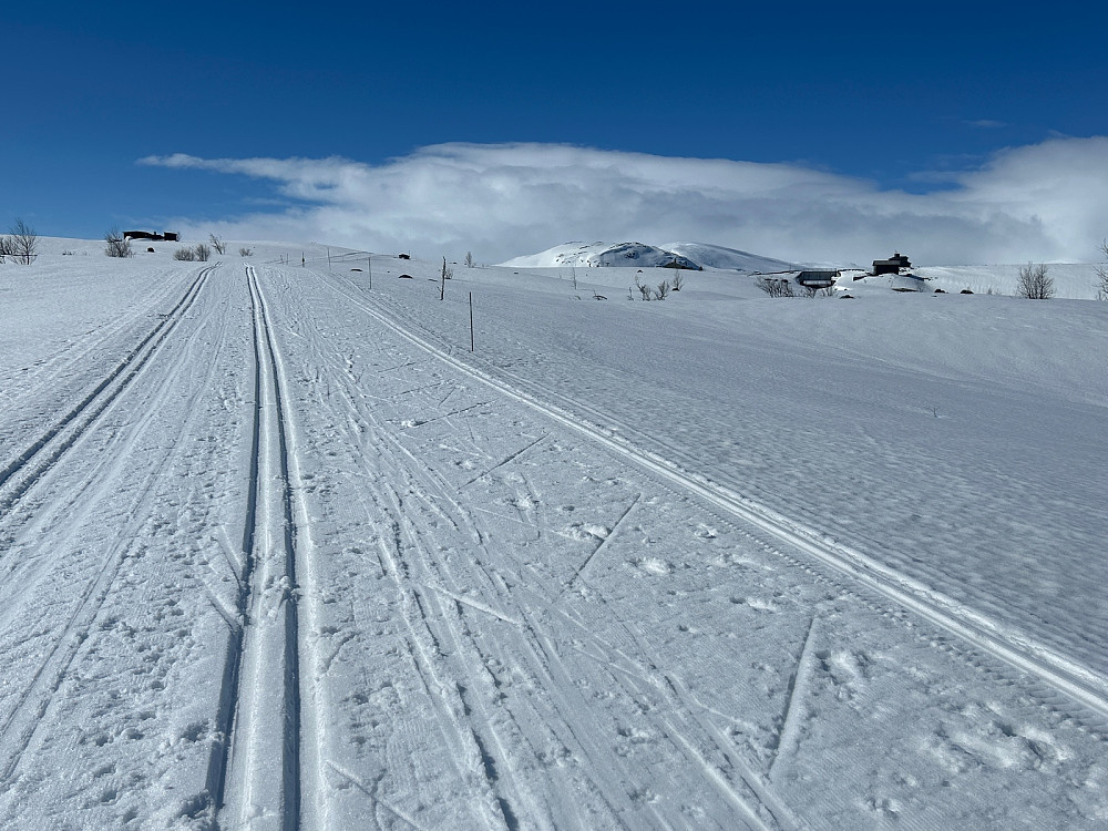 Fine skiløyper opp til Flævassdammen. Turmålet Storebeihovda ses foran Reineskarvet til høyre i bildet.