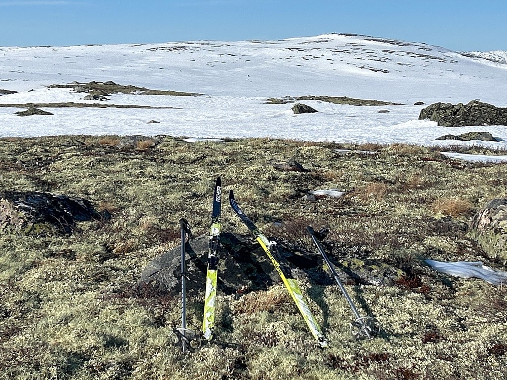 Skiene mine ligger på presumptivt høyeste punkt på 1315-toppen på Borgsjånutan. I bakgrunnen er Sedalsbrotet.