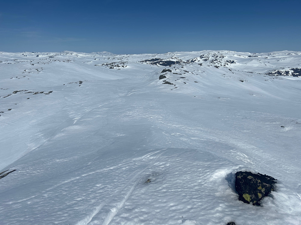 Utsikt fra toppen av Skorpa nordvestover, og langt borte er det vel Liahovden og Hånosi som skimtes.