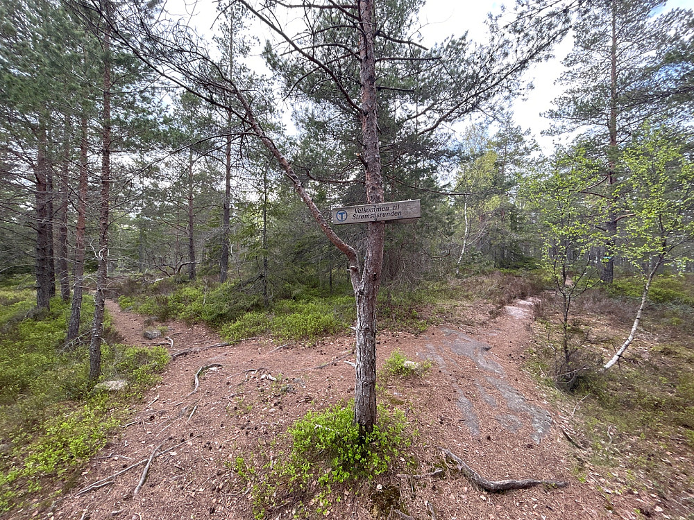 Her har jeg kommet til Strømsåsrunden som er en kort trekantformet rundtur oppe på Gjerpenåsen.