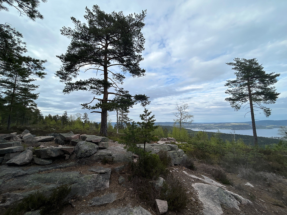Fint pauseområde med utsikt til Drammensfjorden.