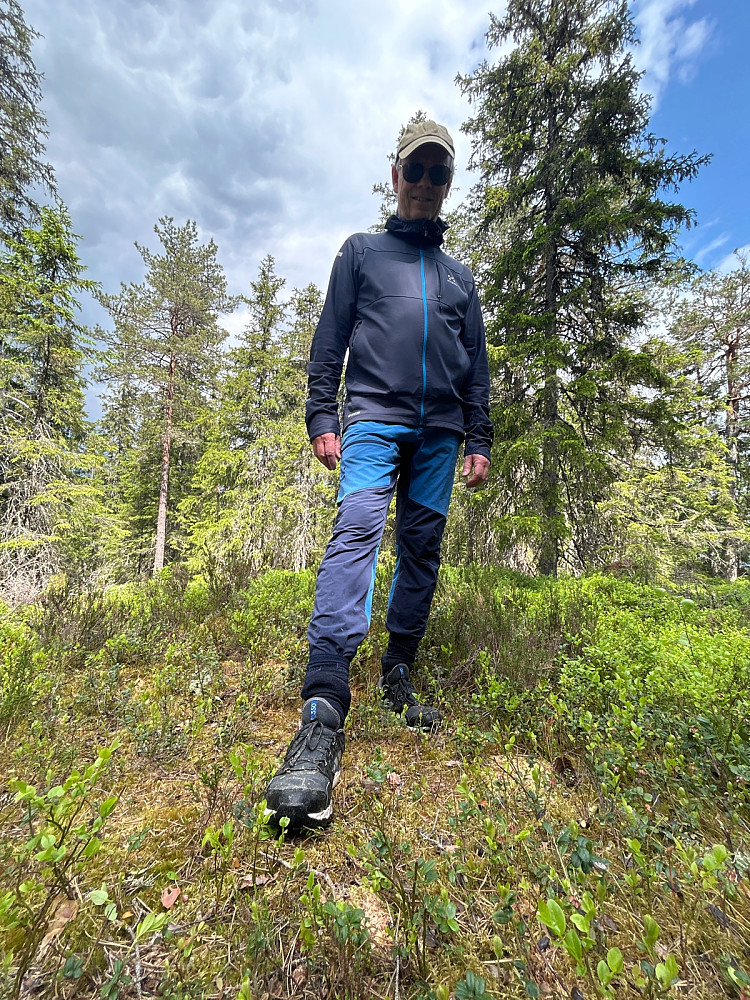 På trigpunktet på Nordre Ringkollen.