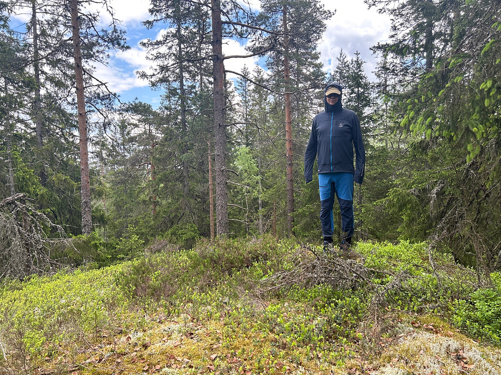 På Norde Ringkollen. Godt tildekket pga myggplagen.
