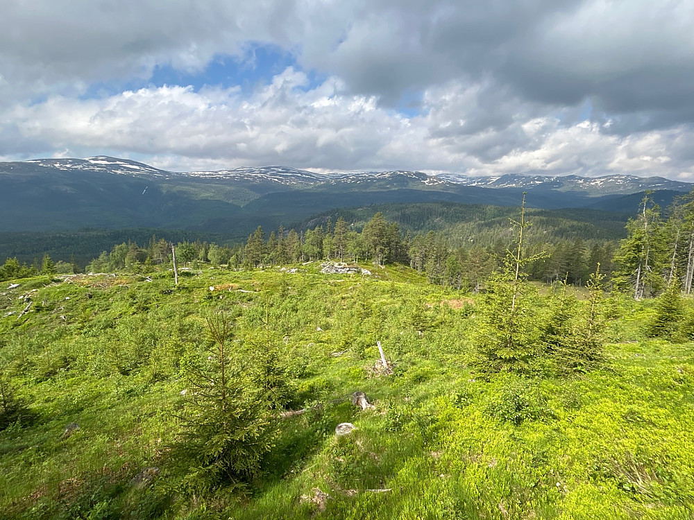 Mektig utsyn mot Norefjell som var mye finere i virkeligheten enn på bildet mitt. Fortsatt noe snø, men fottursesongen kan snart starte i høyfjellet også.