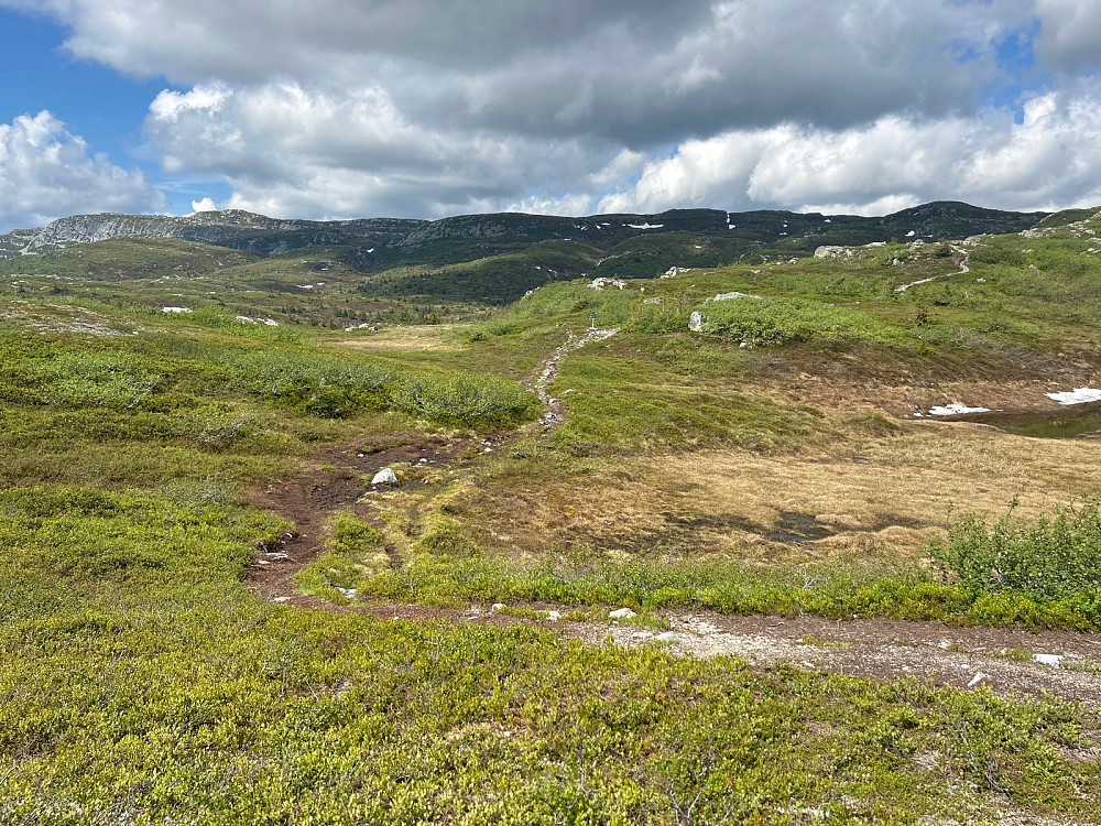 Her var det fint oppe på fjellet. Åklinuten til venstre og ryggen bortover mot høyre fører til Viermyrnuten selv om den toppen ikke ses på bildet.