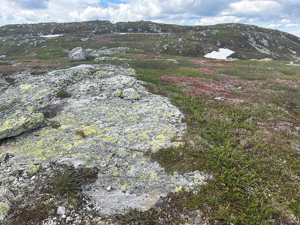 Toppområdet på "Blenuten Øst".