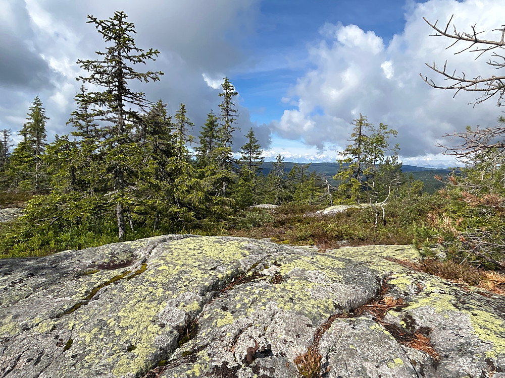 Her er bolten for trigpunktet på Skotjernfjellet. Det var bedre utsikt i dette området.
