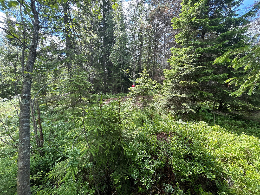 Toppunktet på Brennberget var ikke så veldig spennende.
