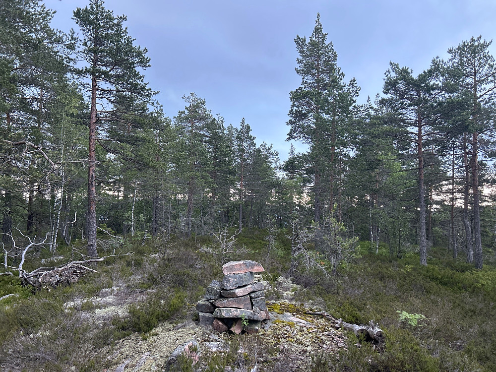 På toppen av Siriseteråsen var det jo fint.
